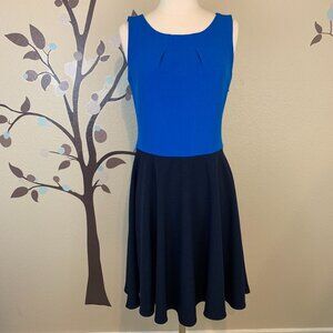 The Limited S Color Block Fit & Flare Knee Length Classic Blue Dress